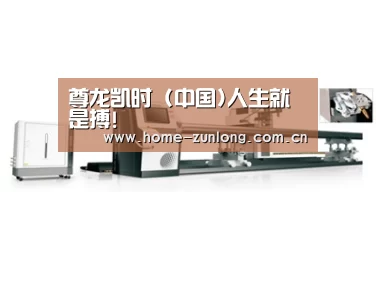 案例展示五