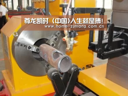 产品名称十三