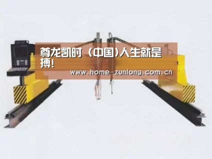 产品名称十七